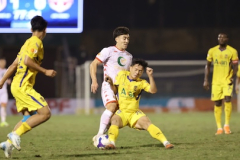 SLNA đang hồi sinh?